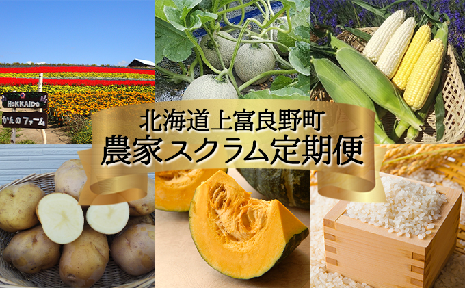 【 2025年 発送 】先行予約 北海道 上富良野【農家スクラム】スペシャル 定期便（4回発送） 上富良野町 メロン とうもろこし トウモロコシ じゃがいも ジャガイモ かぼちゃ カボチャ お米 ゆめぴりか