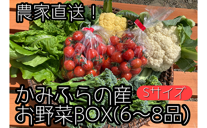 【2025年9月中旬頃から発送】農家直送！ミニトマト500g入り！かみふらの秋の味覚ボックスS（6～8品入り）