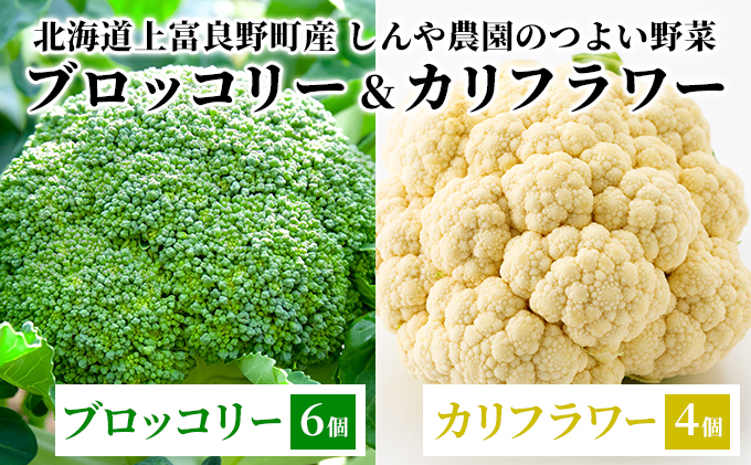 【令和7年産】しんや農園のつよい野菜「ブロッコリー6個&カリフラワー4個」 北海道産 北海道の野菜 国産野菜 栄養素 ビタミンC 新鮮 食材 食べ物 鮮度保持袋入り【北海道上富良野町産】