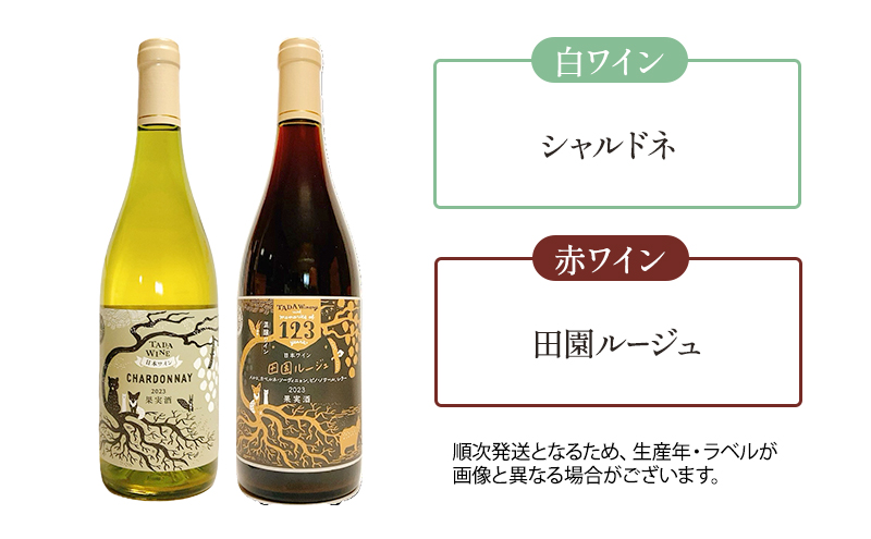 【野生酵母】かみふらの 多田ワイナリー 赤白泡オレンジワイン 計4本　ワイン 赤ワイン 白ワイン 微発泡ワイン オレンジワイン 飲み比べ セット ぶどう 葡萄 ワイナリー 酒 北海道 上富良野町