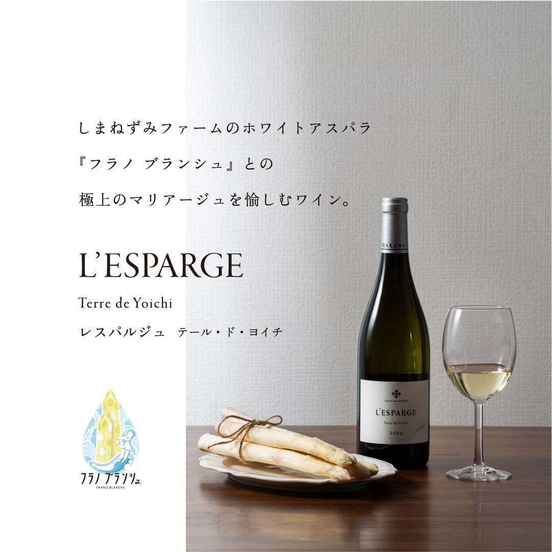 【令和8年産】しまねずみファーム限定 ホワイトアスパラ 1.8kg×【平川ワイナリー】白ワイン 750ml セット ( ホワイトアスパラガス アスパラ アスパラガス 野菜 やさい ワイン ワイナリー 北海道 上富良野 しまねずみファーム )