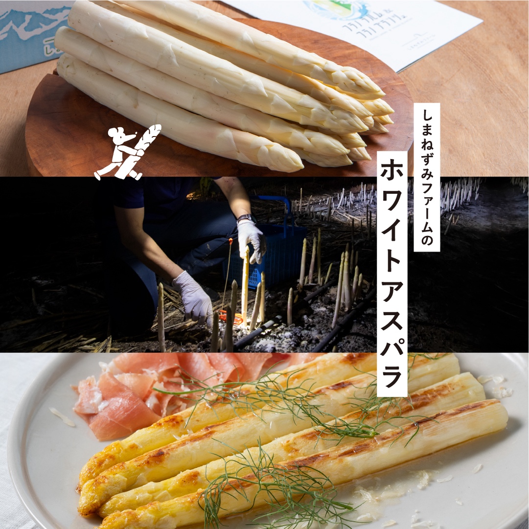 【令和8年産】しまねずみファーム限定 ホワイトアスパラ 1.8kg×【平川ワイナリー】白ワイン 750ml セット ( ホワイトアスパラガス アスパラ アスパラガス 野菜 やさい ワイン ワイナリー 北海道 上富良野 しまねずみファーム )