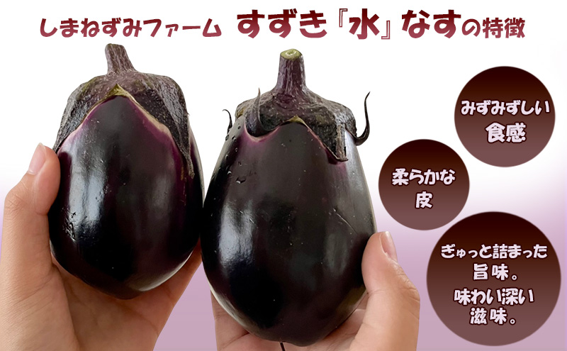 【令和8年産】[すずきが育てた新商品！]すずきの水なす 1kg 【プリっとした歯応えと瑞々しい】( ナス 茄子 なすび 水なす 野菜 やさい 新鮮 上富良野町 しまねずみファーム )