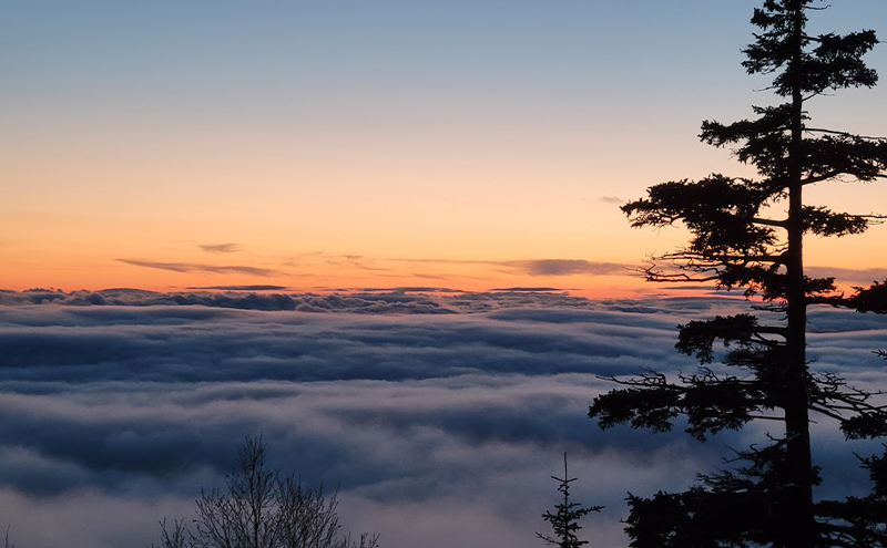 湯元 凌雲閣 ペア 【1泊2食付】宿泊 スノーシュー トレッキング 体験 セット 北海道 上富良野 十勝岳 スノー アクティビティ