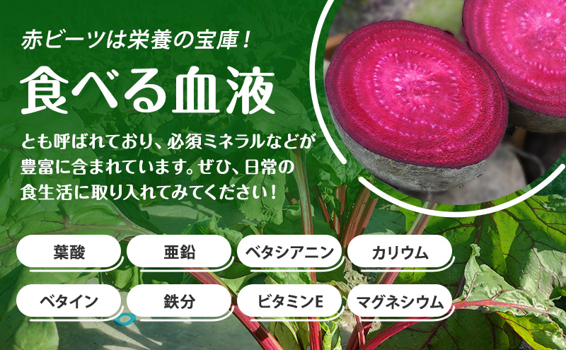 訳あり 賞味期限間近 ビーツ ドレッシング 120ml 2本 フードロス削減 生産者応援 北海道 上富良野町 かんのファーム