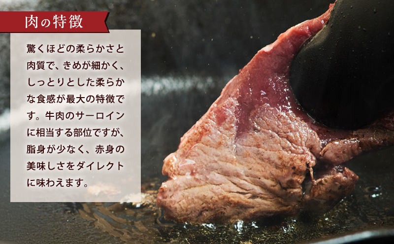 エゾシカ肉【ロース】ブロック約800g～1kg 北海道 南富良野町 エゾシカ 鹿肉 鹿 ブロック肉 ロース肉