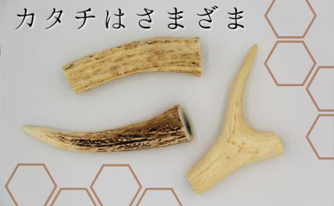 ペットのおやつ【エゾシカ角】3本セット 北海道 南富良野町 ペット おやつ 餌 エゾシカ 鹿 角 犬 大型犬 中型犬 小型犬