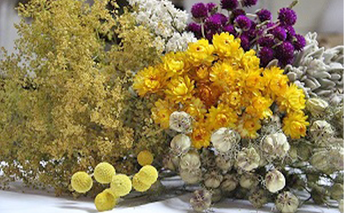 ＜おうちでアレンジ！＞ドライフラワー（色おまかせ）プレゼント付 北海道 南富良野町 ドライフラワー 花 お花 華