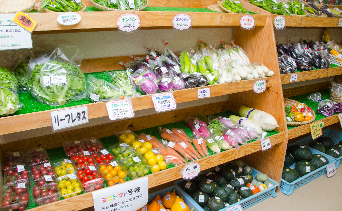 とうもろこし 北海道 朝採り トウモロコシ ホワイト 10本 サ