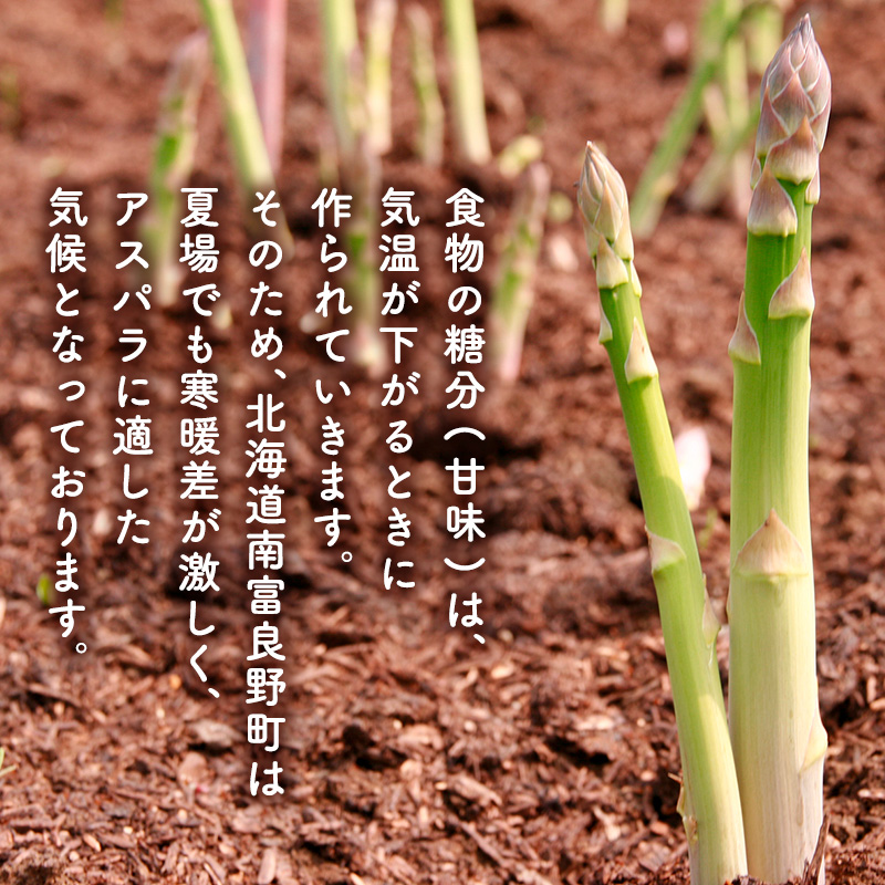 【2026年春配送】北海道南富良野町 アスパラ 2kg MLサイズ 混