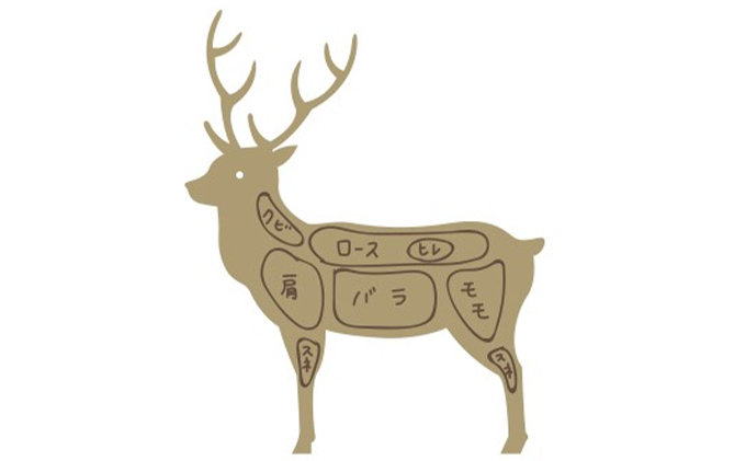 エゾシカ肉【モモ】ブロック約800～1kg 北海道 南富良野町 エゾシカ 鹿肉 鹿 ブロック肉 もも肉 モモ肉