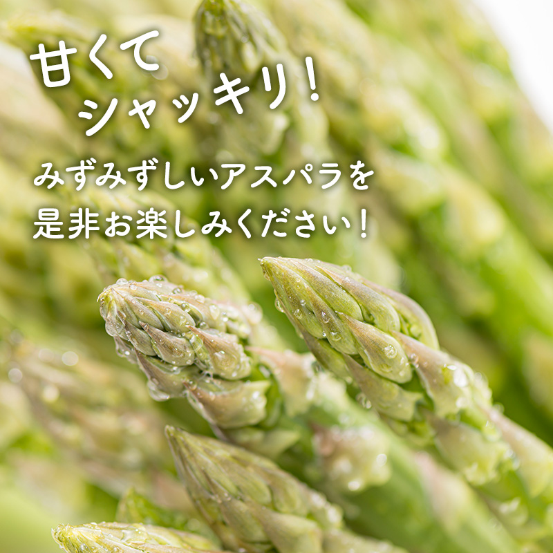 【2026年春配送】北海道南富良野町 アスパラ 2kg MLサイズ 混