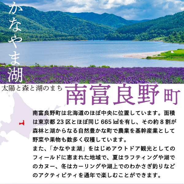 2026年夏発送 JAふらの厳選！ふらの 赤肉 メロン 2kg×2玉 メロン めろん 富良野メロン 果物 くだもの フルーツ 富良野 デザート 北海道 贈り物 ギフト 果物類 メロン赤肉 赤肉メロン