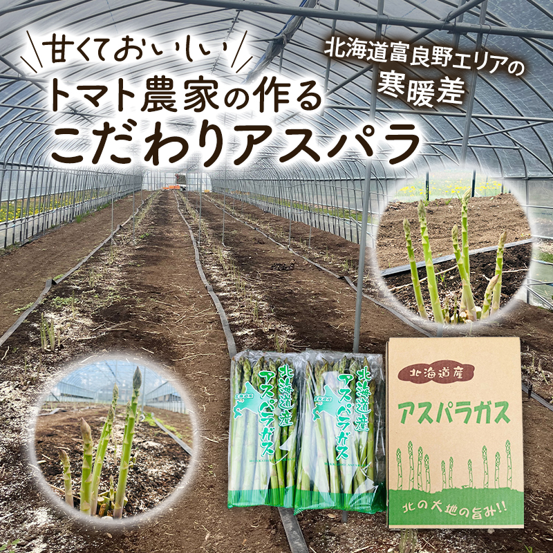 【2026年春配送】北海道南富良野町 アスパラ 2kg MLサイズ 混合 トマト農家 鳥羽農園の作る 新鮮 野菜 産地直送 甘い ジューシー ふるさと納税 送料無料