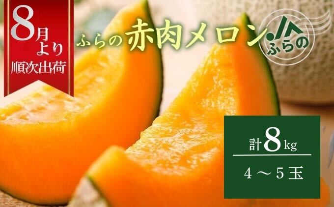 2026年夏発送 メロン 北海道 ふらの 赤肉 メロン 4～5玉（計8kg） JAふらの 厳選 産地直送 赤肉 富良野メロン フルーツ 果物 果実 旬 旬のくだもの デザート おやつ ギフト プレゼント 贈答 贈答用 贈答品 贈り物 富良野