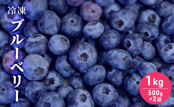 自家農園産・冷凍ブルーベリー1kg（500g×2袋） 北海道 南富良野町 ブルーベリー 果実 冷凍 大容量 冷凍ブルーベリー