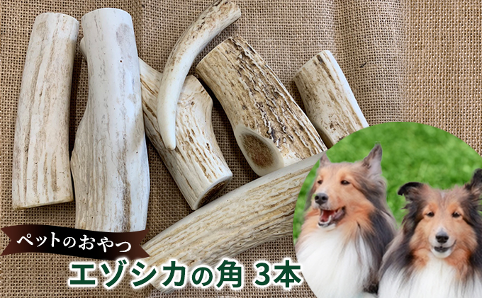 ペットのおやつ【エゾシカ角】3本セット 北海道 南富良野町 ペット おやつ 餌 エゾシカ 鹿 角 犬 大型犬 中型犬 小型犬