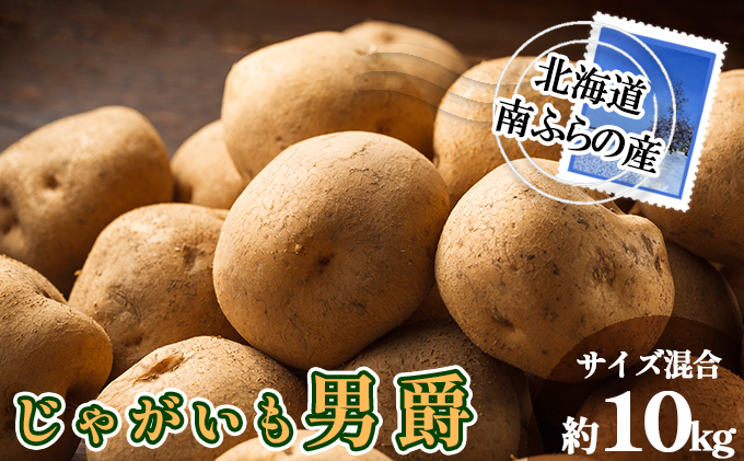 南ふらの産 じゃがいも 男爵 約10kg【サイズ混合】 北海道 南富良野町 じゃがいも ジャガイモ 男爵 2026年発送 先行予約 ポテト 野菜