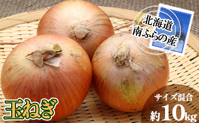 南ふらの産 玉ねぎ 約10kg 【サイズ混合】 北海道 南富良野町 2026年発送 先行予約 北海道 南富良野町  玉葱 玉ネギ 玉ねぎ ネギ ねぎ 先行予約 野菜 たまねぎ