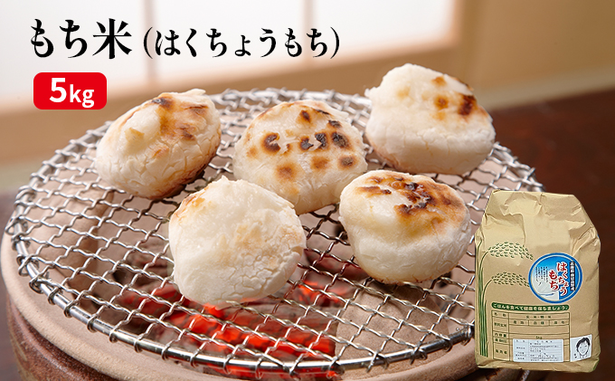 南富良野産　もち米(はくちょうもち) 5kg 北海道 南富良野町 もち米 はくちょうもち お米 米