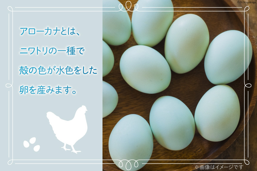 平飼いのアローカナ卵 10個 [ら ぷち ふぁみ～ゆ 北海道 剣淵町 14656182]