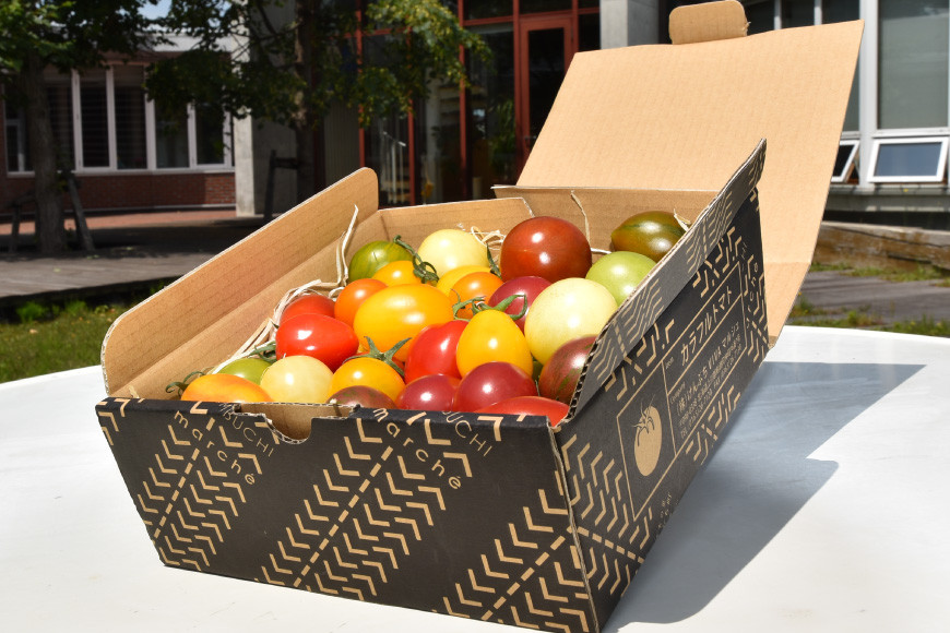 カラフルトマト 1kg [ＶＩＶＡマルシェ 北海道 剣淵町 14656189] 野菜 国産