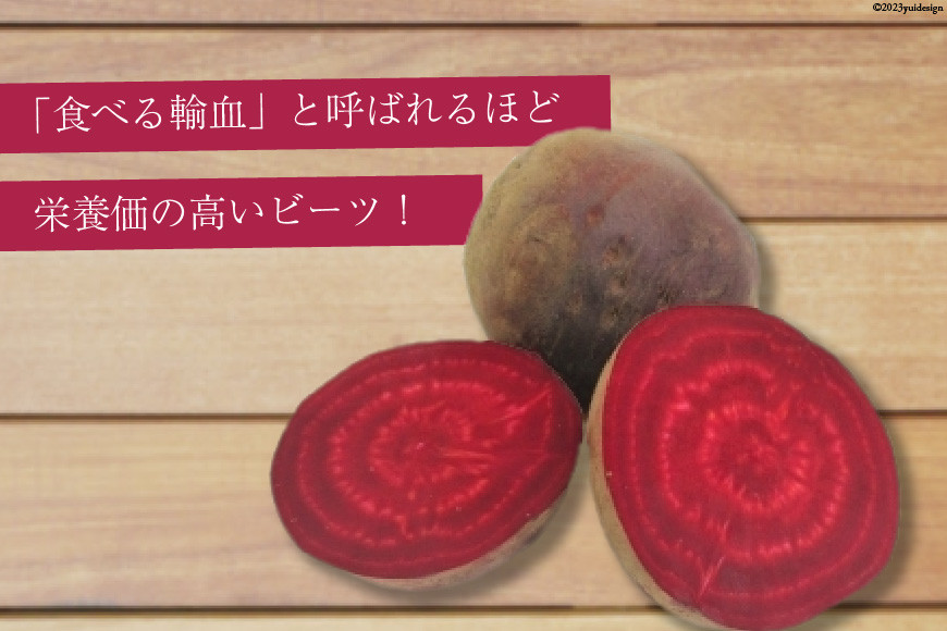 【期間限定発送】【下茹で済み】 ビーツ 野菜 レトルト 200g 6袋 計1.2kg [ＶＩＶＡマルシェ 北海道 剣淵町 14656200] スーパーフード 国産 真空パック 簡単調理