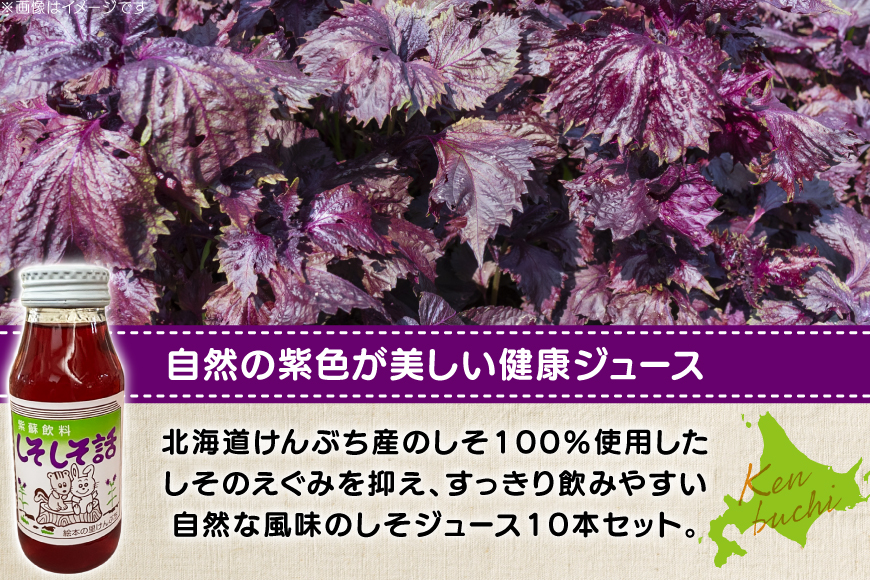 しそジュース しそしそ話 180ml×10本 計1.8L [レークサイド桜岡 北海道 剣淵町 14656352] しそ 紫蘇 シソ しそジュース ジュース