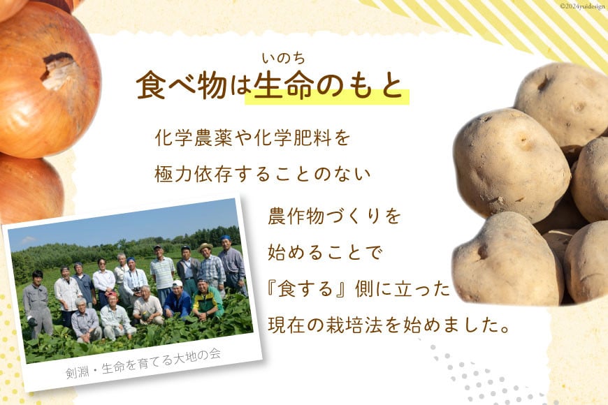 【先行受付】数量限定 野菜 けんぶち産農産物セット 3種 計10kg [剣淵・生命を育てる大地の会 北海道 剣淵町 14656147] じゃがいも 玉ねぎ かぼちゃ 野菜セット