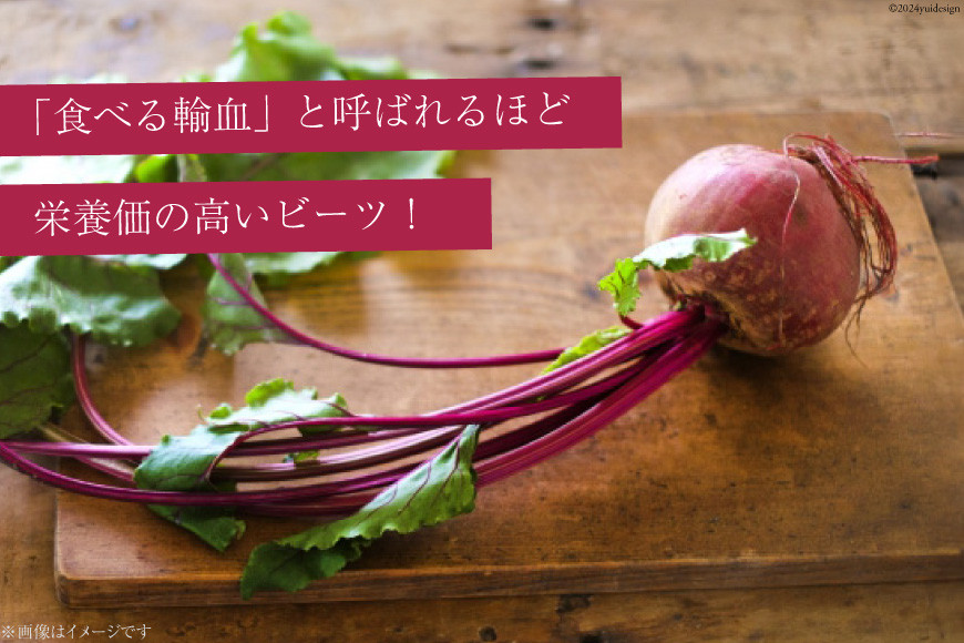 【期間限定発送】【下茹で済み】 ビーツ 野菜 レトルト 200g 2袋 計400g [VIVAマルシェ 北海道 剣淵町 14656311] スーパーフード 国産 真空パック 簡単調理