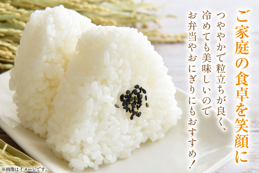 米 ゆきさやか 5kg 精米 [アキニワファーム 北海道 剣淵町 14656335] お弁当 お米 こめ コメ おこめ ごはん 受賞農家