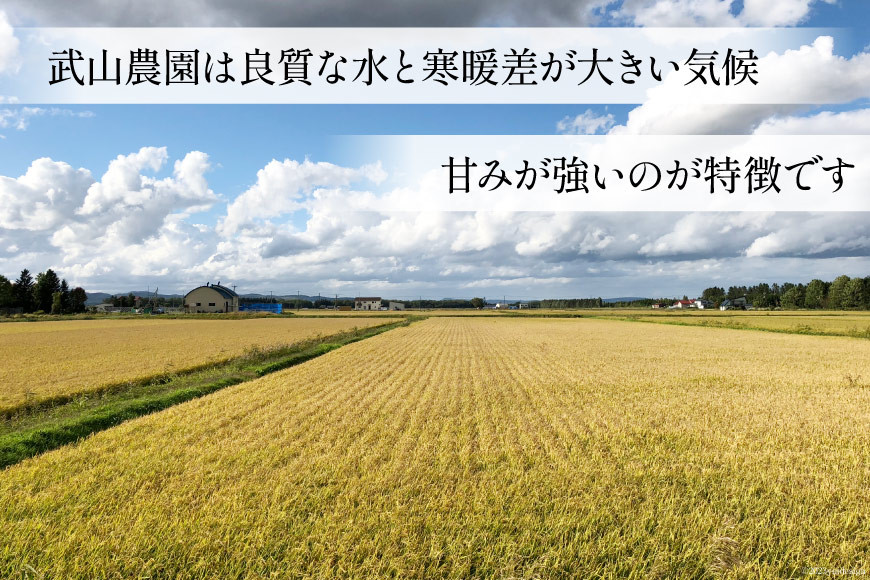 米 新米 令和8年 ゆきさやか 5kg [武山農園 北海道 剣淵町 14656341] お米 米 こめ 白米 コメ ご飯 ごはん 国産 ブランド米 おにぎり 国産 5キロ