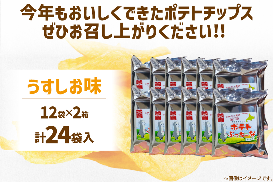 【期間限定発送】 ポテトチップス うすしお 100g 12袋入 2箱 計24袋 2.4kg ポテトぷっちーな [レークサイド桜岡 北海道 剣淵町 14656365] ポテトチップ ポテチ しお お菓子 スナック菓子 スナック チップス じゃがいも