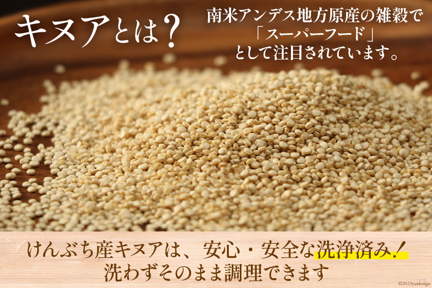 キヌア 20g×2袋 計40g [株式会社ＶＩＶＡマルシェ 北海道 剣淵町 14656368] キヌア オーガニック 健康 サラダ スープ