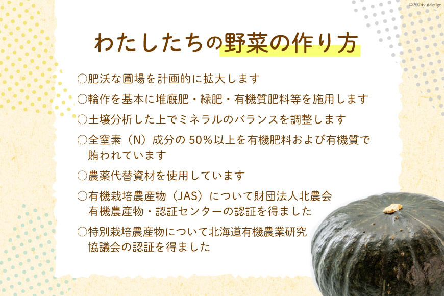 【先行受付】数量限定 野菜 けんぶち産農産物セット 3種 計10kg [剣淵・生命を育てる大地の会 北海道 剣淵町 14656147] じゃがいも 玉ねぎ かぼちゃ 野菜セット