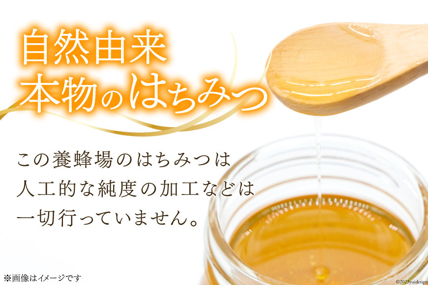 ハチミツ 600g×1 [レークサイド桜岡 北海道 剣淵町 14656150] はちみつ 蜂蜜 国産 アカシア