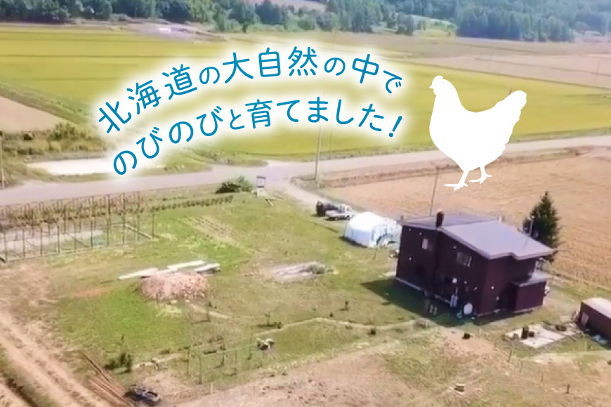 平飼いのアローカナ卵 10個 [ら ぷち ふぁみ～ゆ 北海道 剣淵町 14656182]