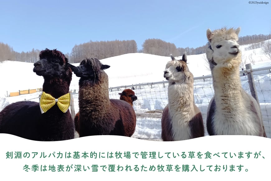 アルパカのエサ [ビバカンパニー 北海道 剣淵町 14656231]