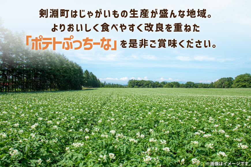 【期間限定発送】 ポテトチップス うすしお 100g 12袋入 2箱 計24袋 2.4kg ポテトぷっちーな [レークサイド桜岡 北海道 剣淵町 14656365] ポテトチップ ポテチ しお お菓子 スナック菓子 スナック チップス じゃがいも