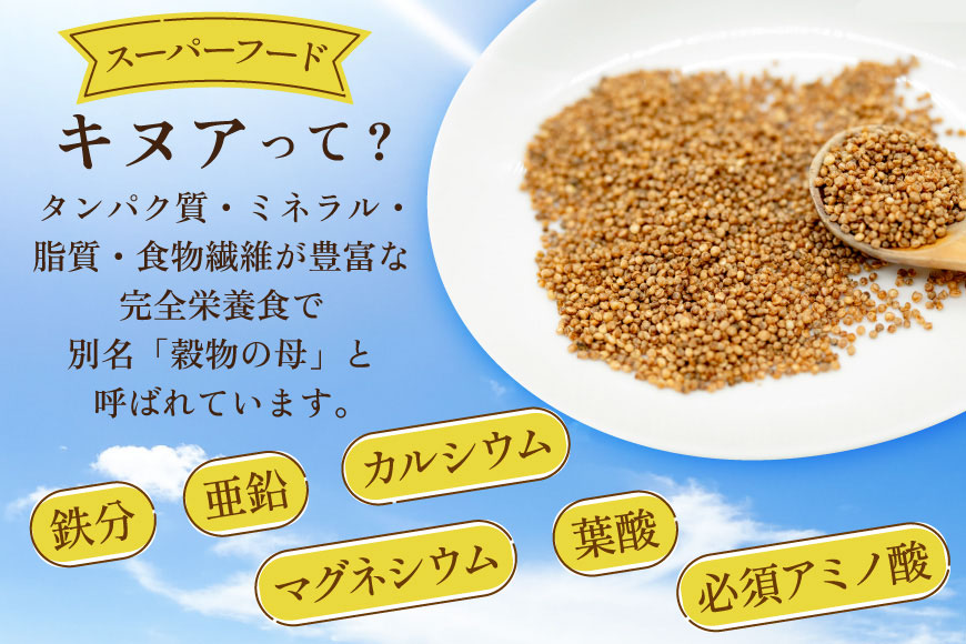 焙煎 キヌア 10g×2袋 計20g [株式会社ＶＩＶＡマルシェ 北海道 剣淵町 14656367] キヌア きぬあ オーガニック 健康 サラダ スープ