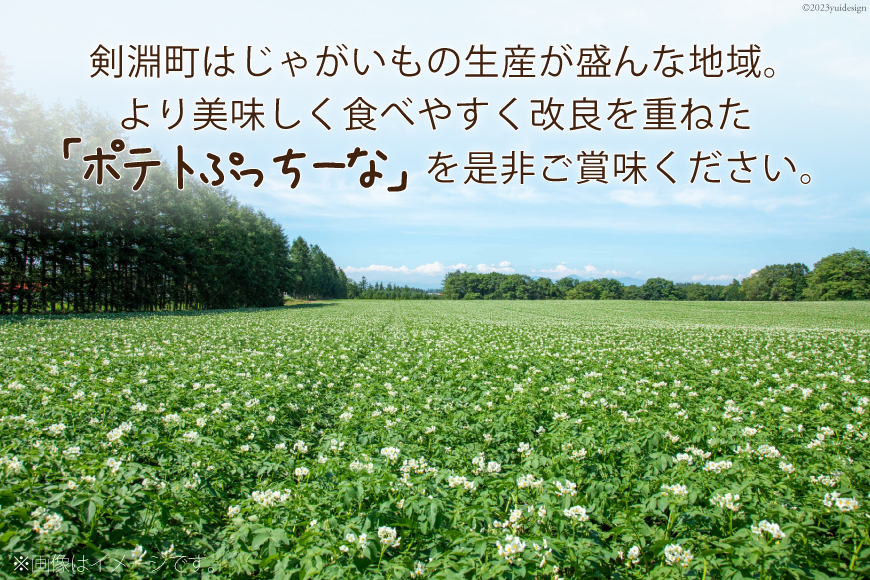 ポテトぷっちーな(155ｇ×15袋入) [クレヨン農園 北海道 剣淵町 A24]