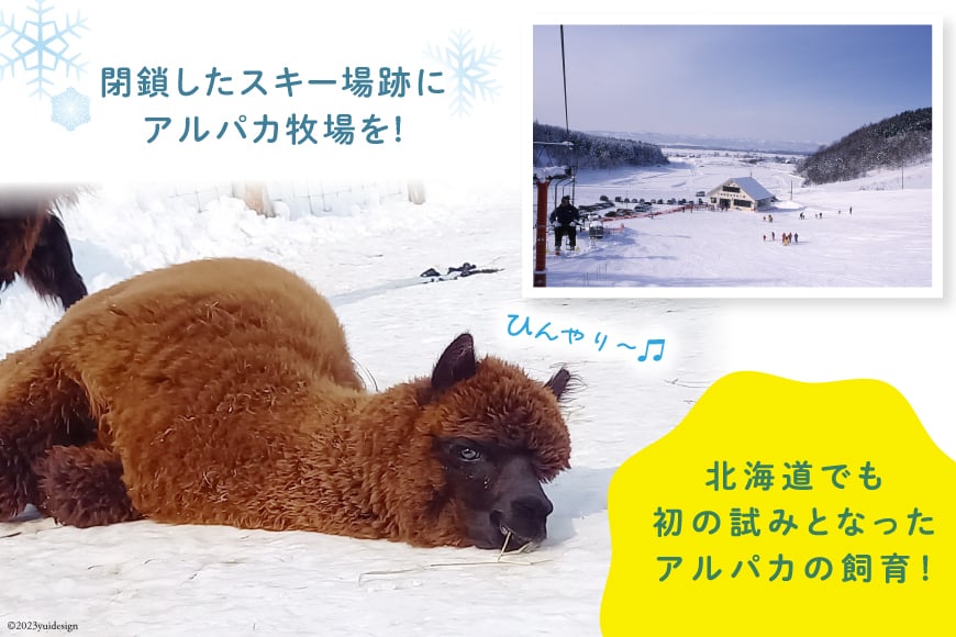 アルパカのエサ [ビバカンパニー 北海道 剣淵町 14656231]