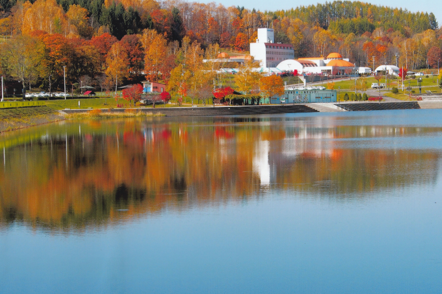 とり 大雪焼 カレー味 70g×6袋 [ゴトウくんせい 北海道 剣淵町 14656357] 肉 鶏肉 とり チキン スモークドチキン カレー 燻製 辛口