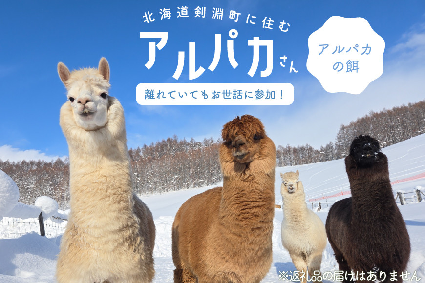 アルパカのエサ [ビバカンパニー 北海道 剣淵町 14656231]