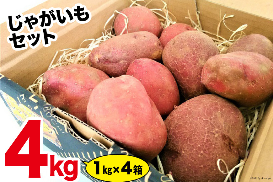 生産者おすすめ極旨じゃがいもセット [ＶＩＶＡマルシェ 北海道 剣淵町 14656241] 野菜 国産 ジャガイモ じゃが芋