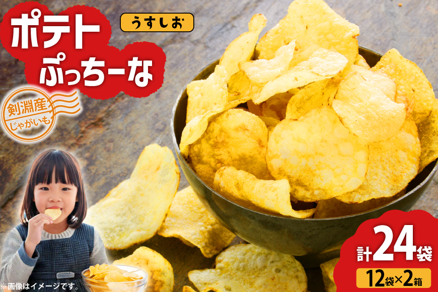 【期間限定発送】 ポテトチップス うすしお 100g 12袋入 2箱 計24袋 2.4kg ポテトぷっちーな [レークサイド桜岡 北海道 剣淵町 14656365] ポテトチップ ポテチ しお お菓子 スナック菓子 スナック チップス じゃがいも