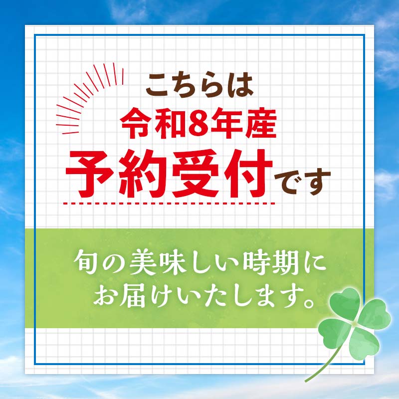 【先行予約】令和8年産 ホワイトアスパラガス（2Lサイズ） 2kg アスパラ 野菜 やさい ふるさと 納税 国産 北海道産 北海道 下川町 F4G-0283