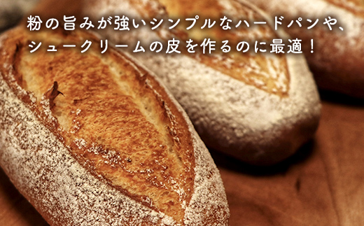 下川産小麦粉「はるゆたか」 10kg 強力粉 ハルユタカ 国産小麦 パン ベーグル ピザ ドーナツ 故郷 ふるさと 納税 国産 北海道産 北海道 下川町 10kgセット F4G-0245