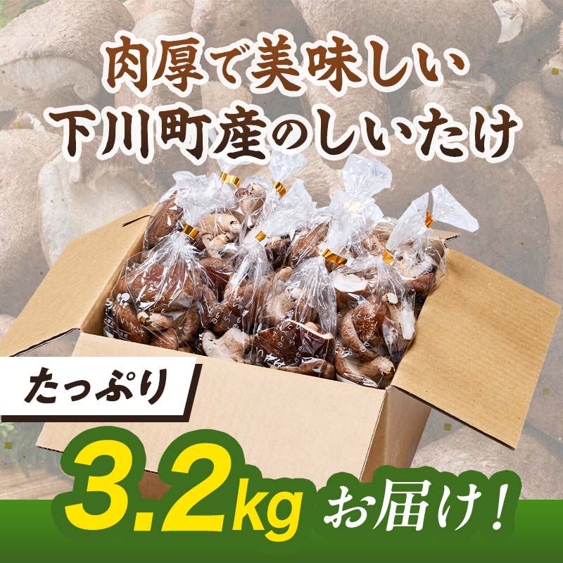 【2026年5月発送】 生しいたけ【形が悪いなどの訳あり品】3.2kg（200g×16袋） F4G-0271