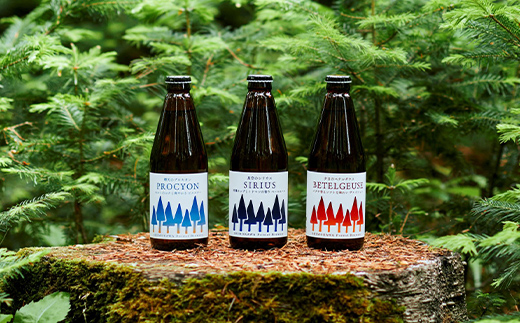 【12か月定期便】しもかわ森のブルワリーのクラフトビール定番6本セット（3種×2本） ピルスナー ペールエール ヴァイツェン F4G-0310